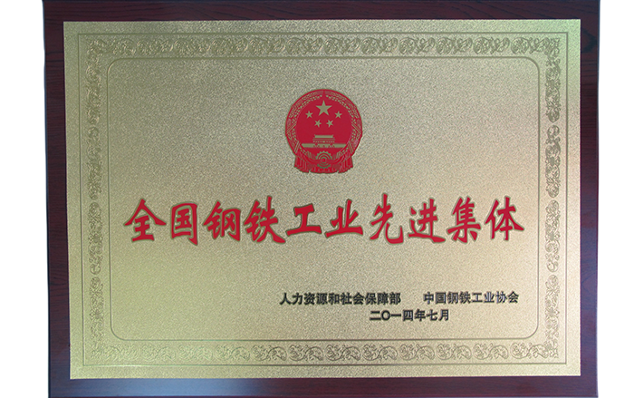 全國(guó)鋼鐵工業(yè)先進(jìn)集體.png